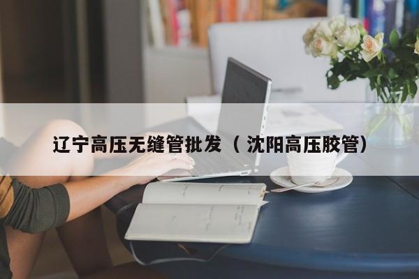 遼寧高壓無縫管批發(fā)（ 沈陽高壓膠管）