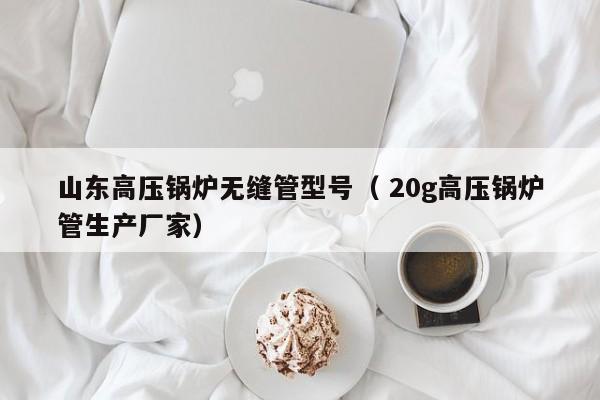 山東高壓鍋爐無縫管型號（ 20g高壓鍋爐管生產(chǎn)廠家）