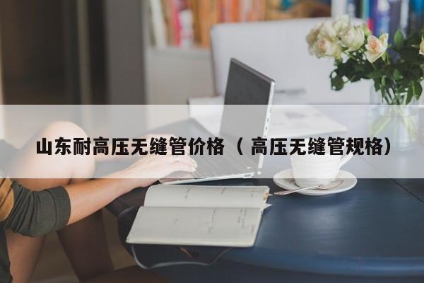 山東耐高壓無縫管價格（ 高壓無縫管規(guī)格）